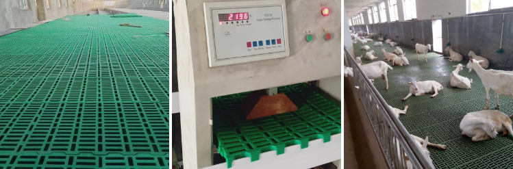 product-749-247