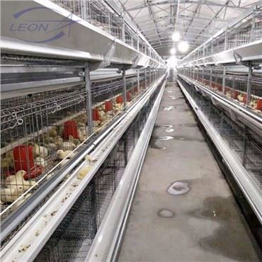 نیا مکمل خودکار برائلر پین فیڈنگ سسٹم۔