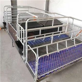 سوو گیسٹیشن بیڈ جستی پگ فارونگ کریٹس قلم پگ فلورنگ اسٹال فاررونگ بیڈ بونے کا سامان برائے فروخت