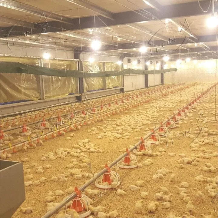 Broiler Floor Raising System