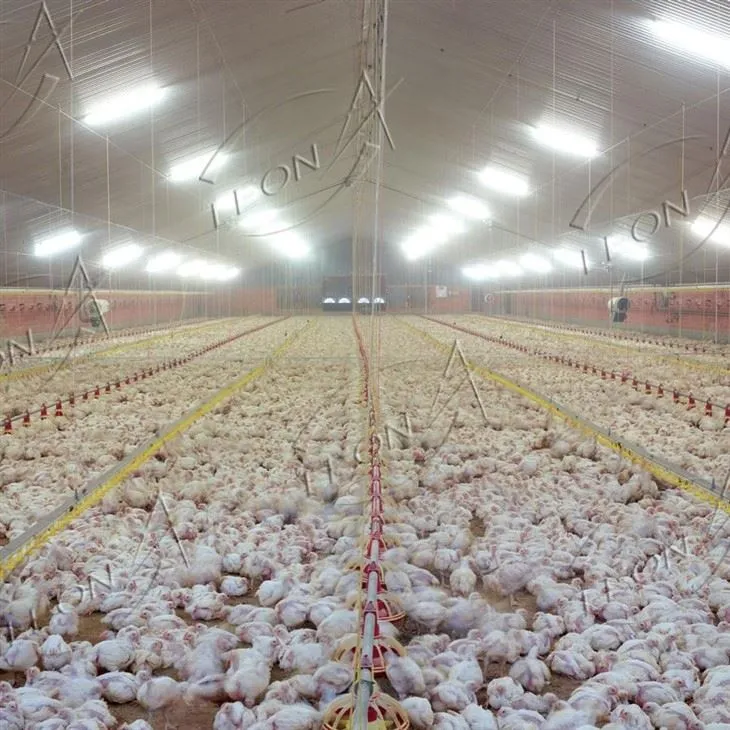 Broiler Floor Raising System